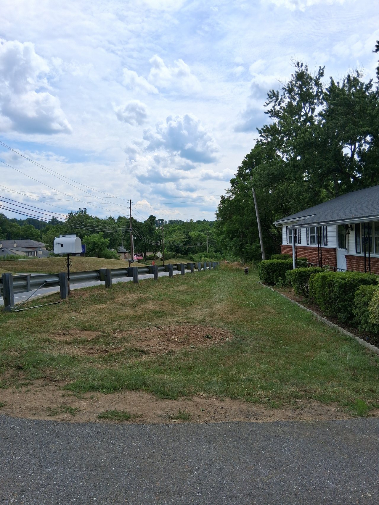Cleared open ground beside a road after tree removal